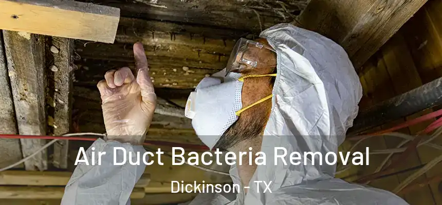  Air Duct Bacteria Removal Dickinson - TX