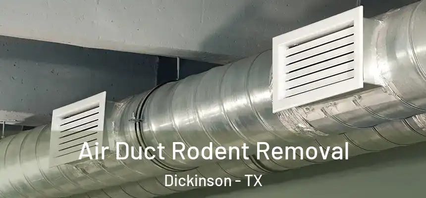  Air Duct Rodent Removal Dickinson - TX