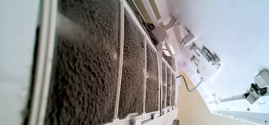 Preventive Air Duct Bacteria Removal in Dickinson