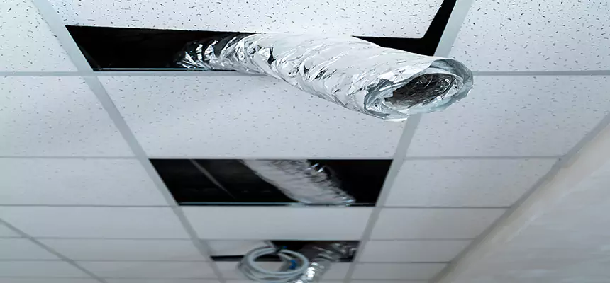 Affordable HVAC Sanitizing After Pest Removal in Dickinson