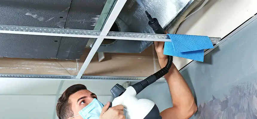 Our Air Duct Rodent Removal Services in Dickinson, TX