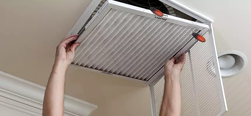 Our Insect Removal from Air Ducts Services in Dickinson, TX