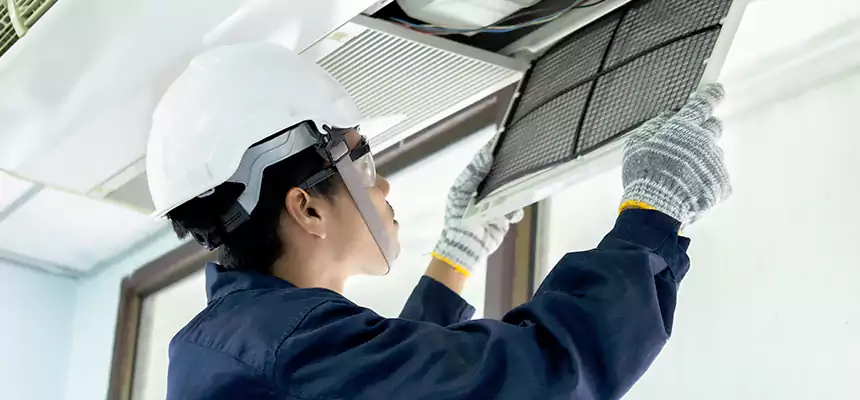 Our Mold & Mildew Removal from Air Ducts Services in Dickinson, TX