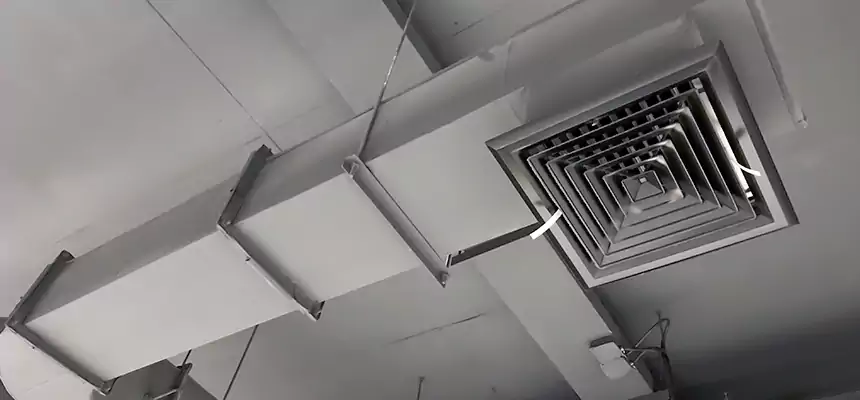 Our Pest Removal From Ducts Services in Dickinson, TX