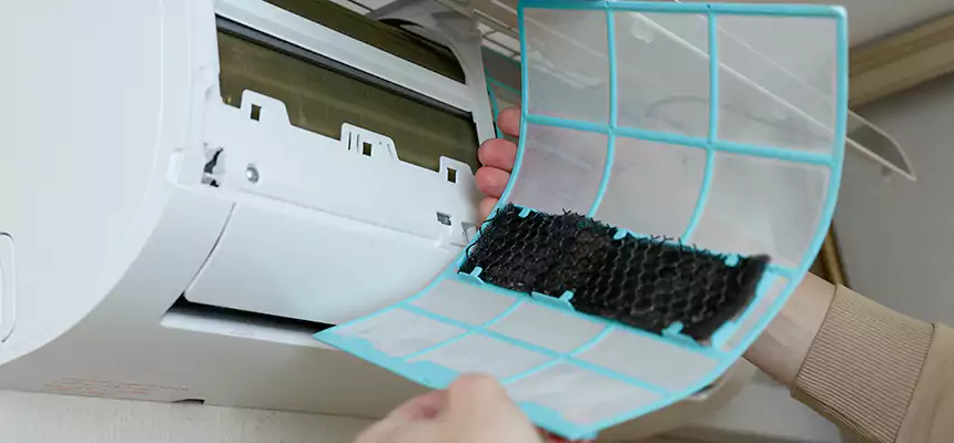 Gentle Ductwork Odor-Control Pet Dander Duct Cleaning in Dickinson, TX