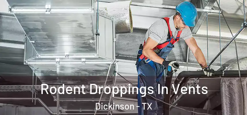  Rodent Droppings In Vents Dickinson - TX
