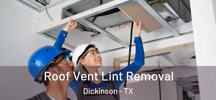  Roof Vent Lint Removal Dickinson - TX