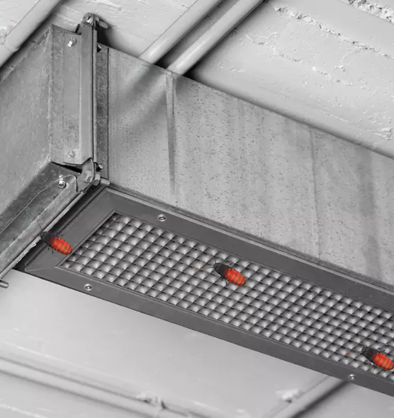 About Air Duct Cockroach Removal in Dickinson, TX
