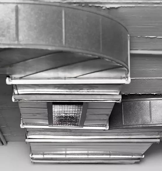 Professional Air Duct Pet Hair Removal in Dickinson, TX