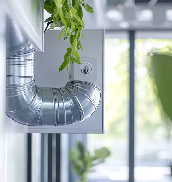 Professional Eco-Friendly Duct Cleaning Services in Dickinson, TX