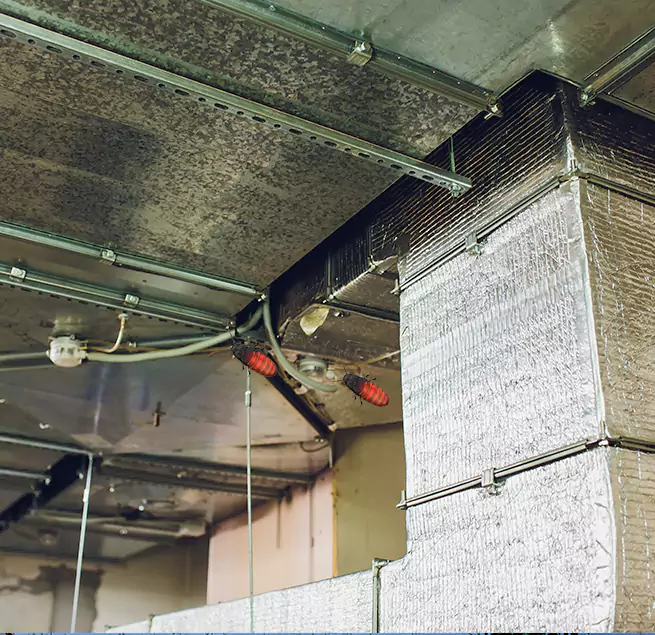 Why Homeowners & Businesses Trust Us in Dickinson, TX?