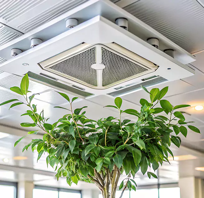 Why Homeowners & Businesses Trust Us in Dickinson, TX?