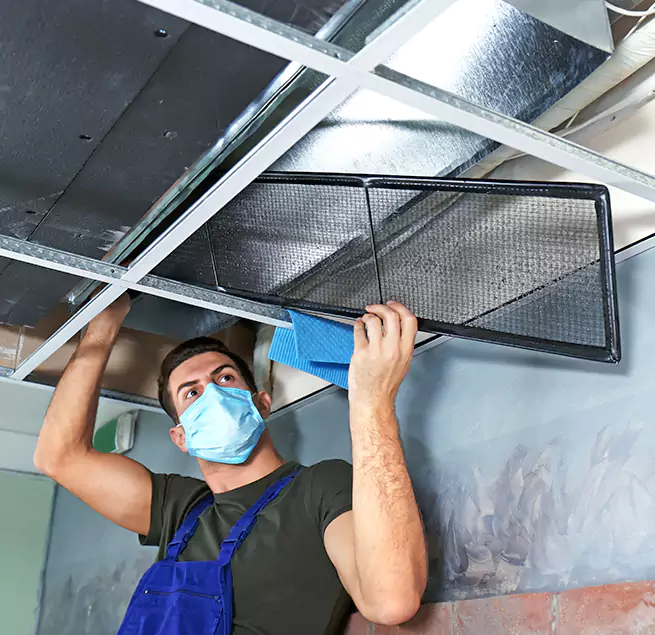 Why Homeowners & Businesses Trust Us in Dickinson, TX?